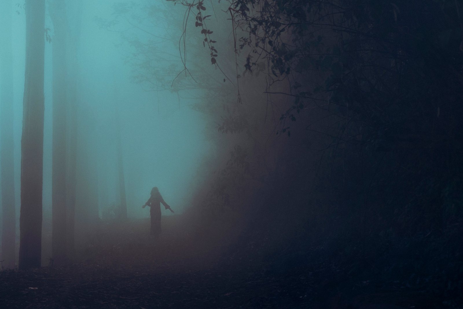 A lone figure walking into a foggy forest