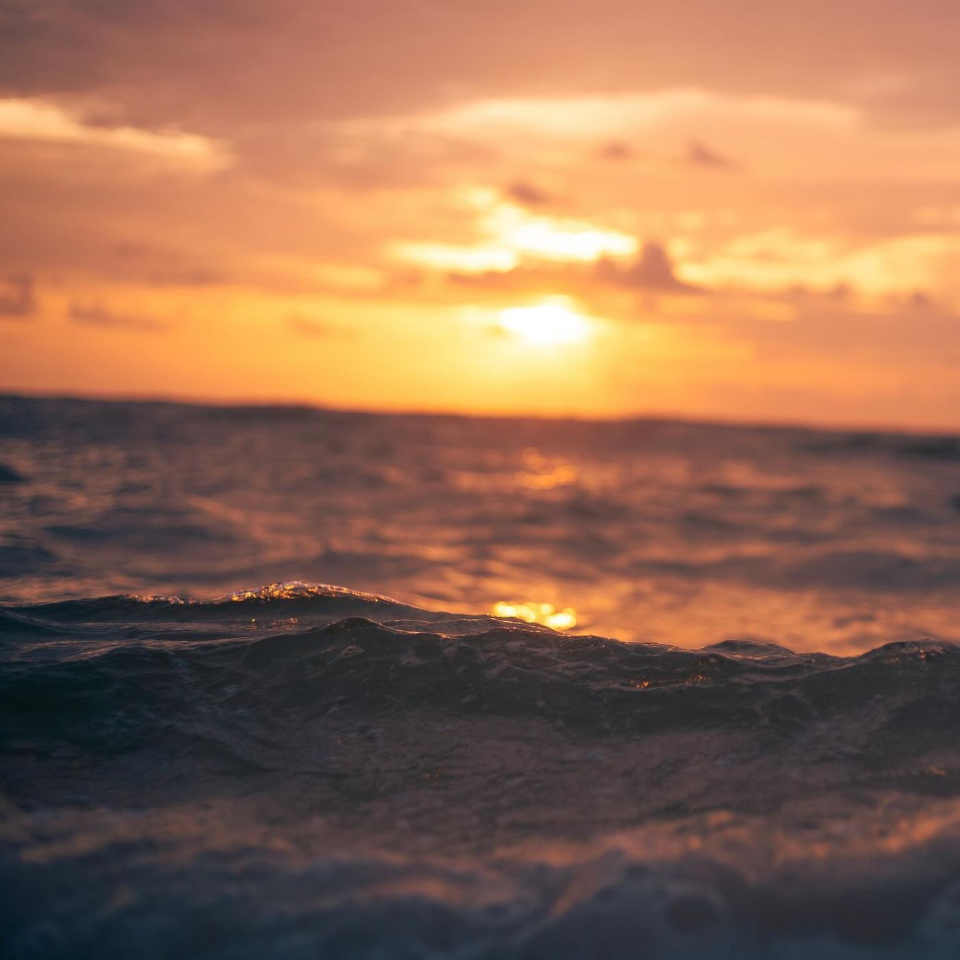 A low wave catching the last of an orange sunset
